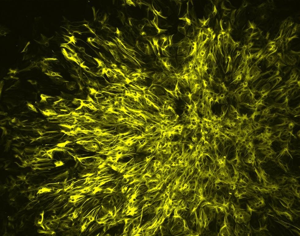 Under the Sun - Sandrine Willaime-Morawek